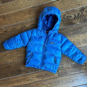 Patagonia Toddler Hi-Loft Down Sweater Hoody/Blue Bird/3T